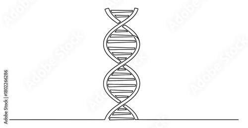 DNA Double Helix Line Art, Isolated on Transparent Background, Science Strand