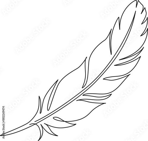 continuous line drawing of a feather, line art vector illustration