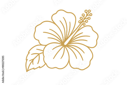 Elegant golden line art of tropical hibiscus flower and leaf outline