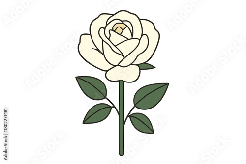 Stylized white rose flower with green stem and leaves