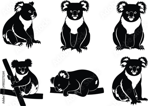 Collection of koala silhouettes, set of Australian animals, sitting, sleeping, climbing, black vector icons, isolated on white background.
