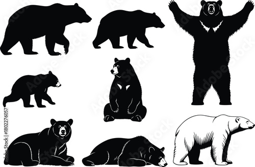 Set of bear silhouettes, collection includes Grizzly, Black, and Polar Bear, wild animal vector icons in various poses, isolated on white.