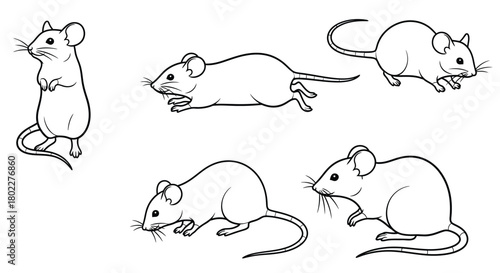 Line art illustration depicting three mice in various playful poses