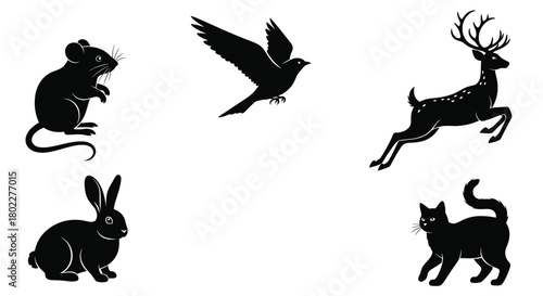 Black silhouettes of a mouse bird deer rabbit cat and animal