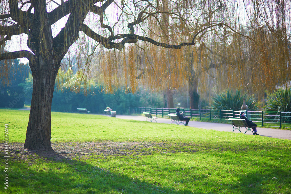Fototapeta premium Bright spring scene in Parc Frederic Pic in Vanves, France