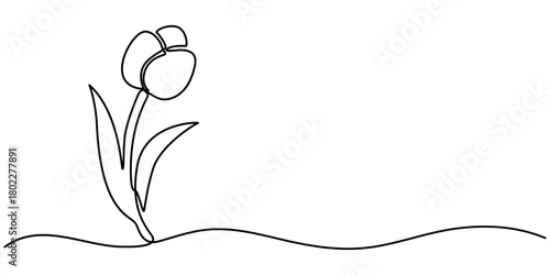 tulip flower continuous one line drawing, Minimalist continuous line drawing a single tulip with stroke Single outline illustration. 