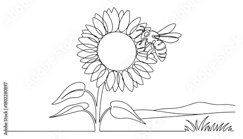 Single continuous line drawing of a bee on a beautiful sunflower Summer nature and floral landscape in one line art style vector illustration