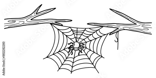 Spider on a web hanging from a tree branch continuous one line drawing Vector illustration of a spooky insect for Halloween decoration or nature concept