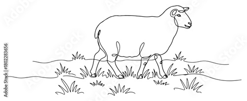 Sheep walking on grass one continuous line drawing. Farm animal minimalist vector illustration.