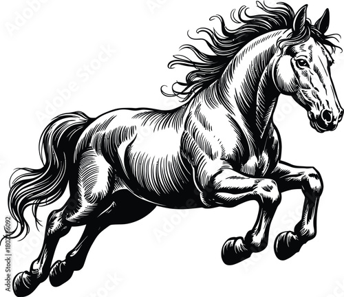 Galloping Horse Vector Illustration in Black and White, Engraving Style