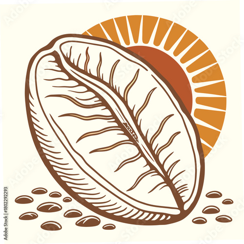 Large Coffee Bean with Sunburst and Scattered Beans roasted illustration