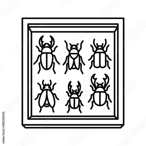 Detailed line art icon of an entomological collection, showcasing diverse beetle and insect specimens in a display box.