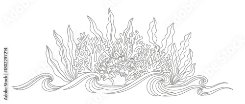 Outline Coral Reefs with Seaweed, Waves Transparent Background
