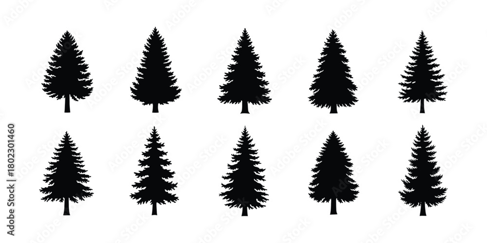 Fototapeta premium set of Christmas tree icon. Christmas pine tree icon. Collection of ten stylized black pine trees and evergreen silhouettes on a white background