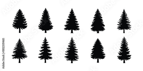 set of Christmas  tree icon. Christmas pine tree icon. Collection of ten stylized black pine trees and evergreen silhouettes on a white background