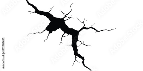 Detailed stylized black crack graphic on white background, damage concept