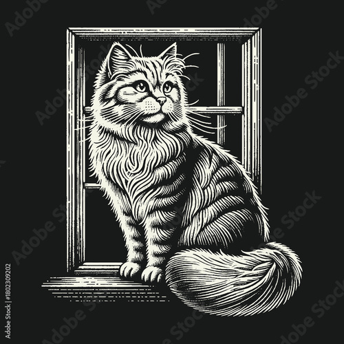 Fluffy long haired cat sitting on a windowsill in a vintage woodcut illustration style.