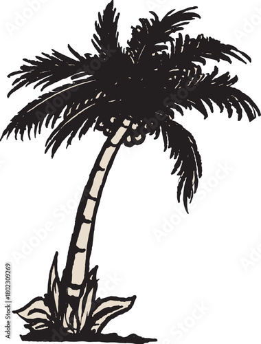 silhouette of palm tree