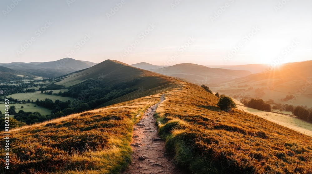Fototapeta premium A serene landscape at sunrise, revealing rolling hills, a winding path, and lush greenery beneath a clear sky.
