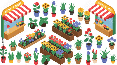 Isometric flower shop market with colorful roses, sunflowers, hyacinths, and daisies in pots, vibrant floral garden illustration for spring