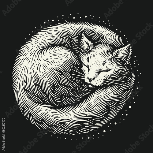 Sleeping Cat Curled in a Starry Circle Engraving.