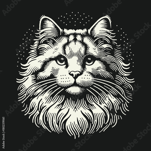 Vintage Engraved Style Fluffy Cat Head Illustration on Black Background.