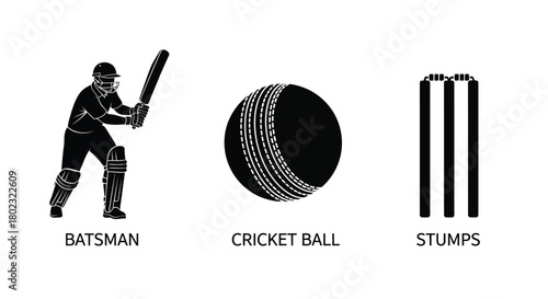 A silhouette of a batsman cricket ball and stumps isolated on white