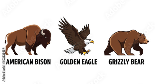 North american wildlife illustration featuring a bison eagle and grizzly bear