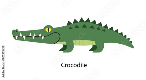 A simple cartoon illustration of a green crocodile with a friendly face