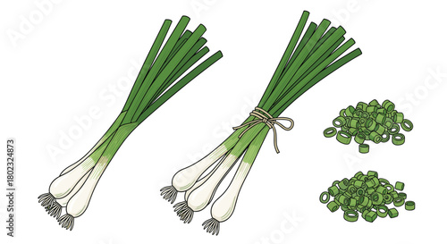 Illustration of fresh green onions, both in bundles and chopped, showcasing their vibrant color and culinary versatility for cooking and garnish purposes.