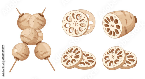 Illustrative depiction of lotus root in various preparations, including skewers and sliced forms, showcasing its unique internal structure and culinary uses.