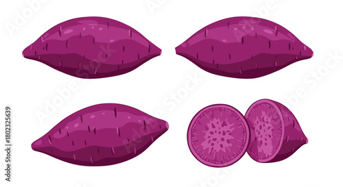 A vibrant collection of purple sweet potatoes in various arrangements, including whole tubers and a cross-section revealing the rich interior color.