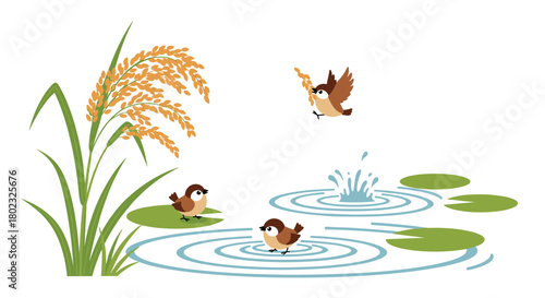 Charming illustration of sparrows in a rice paddy field with water ripples and lily pads, depicting a peaceful rural scene and wildlife habitat.