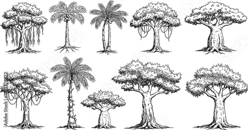 Collection of ten diverse hand drawn black and white trees including banyan palm baobab and tropical varieties