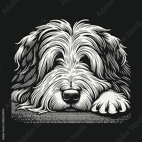 Shaggy Dog Portrait Engraving Style Illustration.