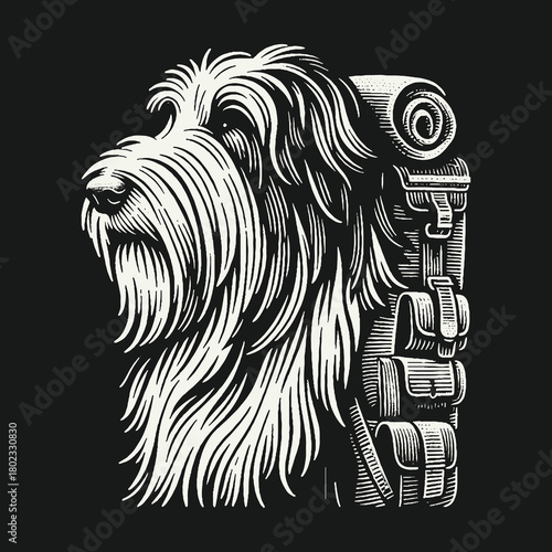 Shaggy Dog with Backpack Ready for Adventure.