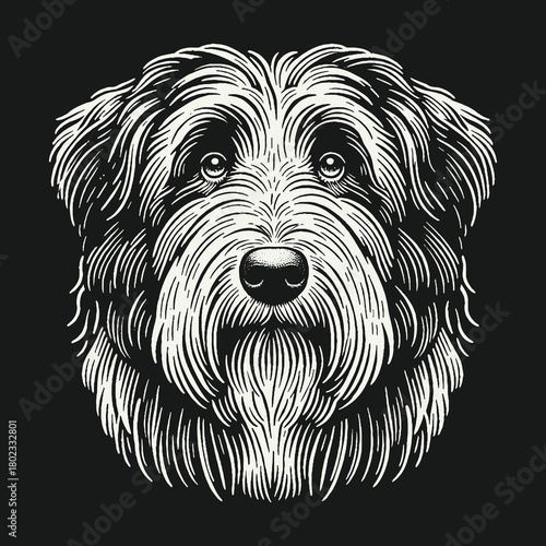 Shaggy Terrier Dog Head Black and White Illustration.