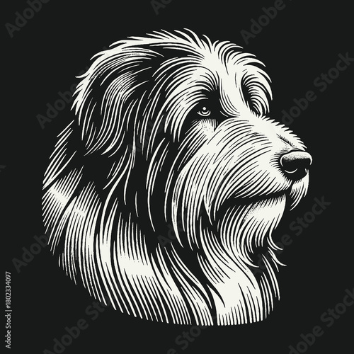 Shaggy Dog Head Engraving Style Vector Illustration.