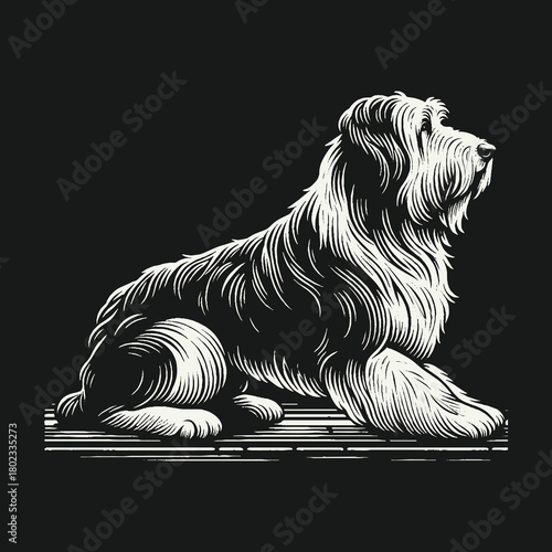 Majestic Shaggy Dog Illustration in a Classic Woodcut Style.