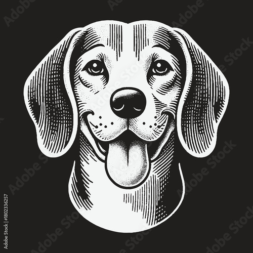 Happy Beagle Dog Head Engraving Style Illustration.