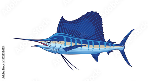 Illustration of a blue marlin fish with a large dorsal fin and bill swimming to the left.
