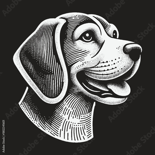 Happy Beagle Dog Head Engraving Style Illustration.