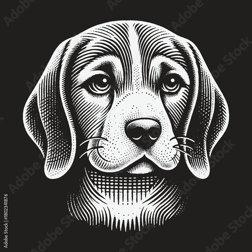 Vintage Engraving Style Beagle Dog Head Portrait Illustration.