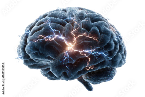 Mind's Electrical Spark: A detailed illustration captures the intricate structure of the human brain, interwoven with glowing electrical patterns that symbolize the active functions within.
