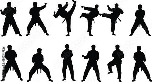 Black silhouettes of martial artists in various karate poses and stances martial arts