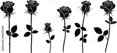 Elegant rose flower silhouette collection featuring detailed stems, leaves, and buds for floral design, romantic artwork, botanical illustration, and decorative vector projects