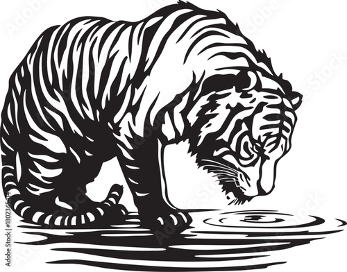 Black and White Tiger Drinking Water Vector Illustration: Detailed Wild Cat Nature Scene Tattoo Design