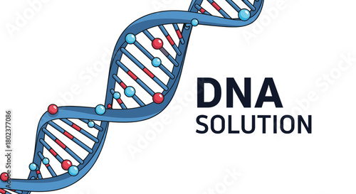 Close up illustration of a blue DNA double helix strand with red and blue spheres representing bases, next to the words \.