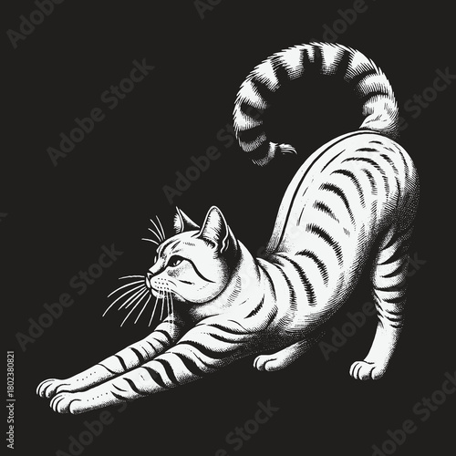 Graceful Striped Tabby Cat Stretching Illustration.