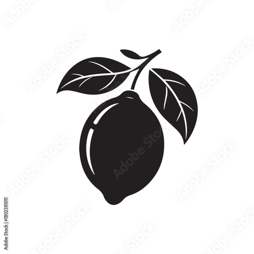 Lemon vector illustration on white background. Isolated liner icon. a silhouette lemon . silhouette lemon with branches, leaf